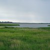 Tour 13: Darß - 2